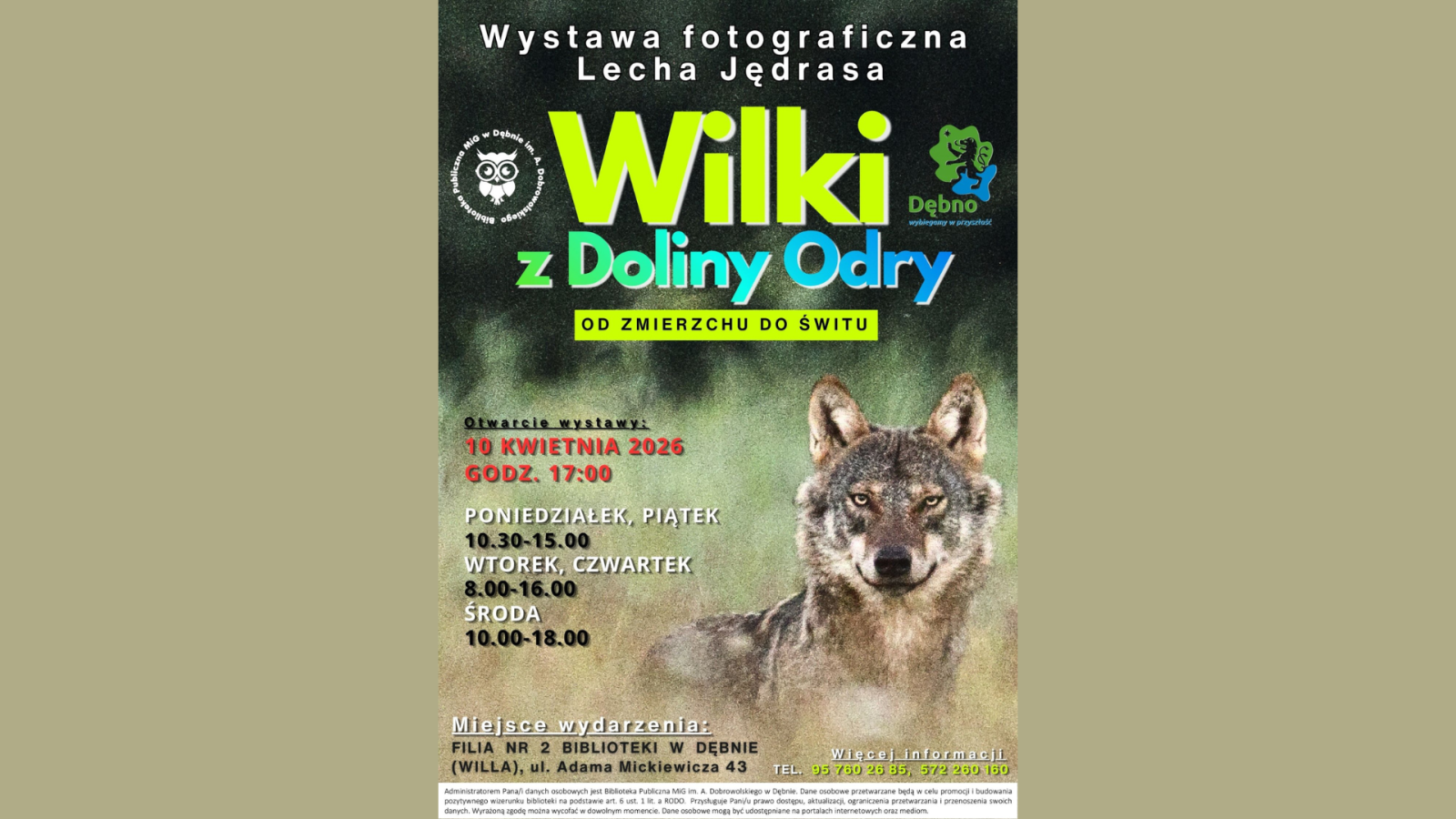 Zdjęcie: Od zmierzchu do świtu – niezwykły świat wilków z Doliny Odry